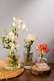Home Decor Vases, Trays and Accents: Elevate Your Home's Style with SG Home