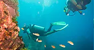 Diving and Snorkelling