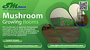 Mushroom Growing Rooms | Mushroom Project Consultancy