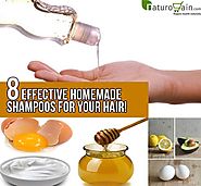 Homemade Shampoo for Hair Loss - 8 Effective Shampoos for Your Hair!