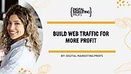 Build Web Traffic for more Profit | Digital Marketing Profs