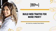 Build Web Traffic for more Profit | Digital Marketing Profs | edocr