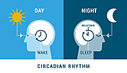 Why A Healthy Circadian Rhythm Is Crucial For Sleep And Better Health