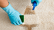 4 Essentials to Consider When Hiring Carpet Stain Removal Experts