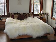 How Can You Choose the Best Professional Sheepskin Cleaning Service?