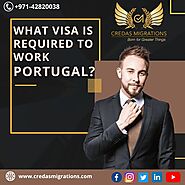 Are You Searching for Information on Visas to Work in Portugal?