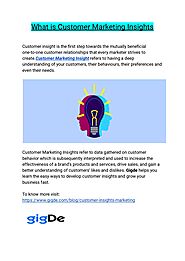 What is Customer Marketing Insights?