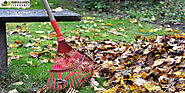 Garden Clearance: 8 Behaviors You Can Gross Maintenance of Your Garden