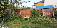Garden clearance in wandsworth: Cleaning up your garden hints