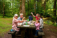 10 perfect woodland picnic spots in Scotland