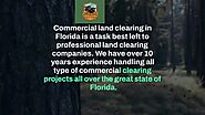 Pasco County and Walton County Florida Land Clearing and Forestry Mulching