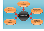 HRM Assignment: Importance Of Human Resource Audits Within Organisations | Total Assignment Help