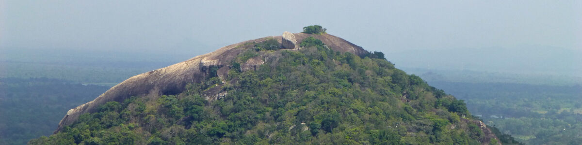 Headline for Top Things to Do in Dambulla - Authentic Sri Lankan experiences await you in the charming historic city