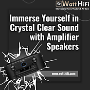 How to Choose the Perfect Speaker Amplifier?