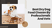 Best Dry Dog Food Chosen By Professionals And Vets