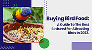 Buying Bird Food: A Guide To The Best Birdseed For Attracting Birds In 2023