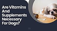 Are Vitamins And Supplements Necessary For Dogs?