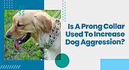 Is A Prong Collar Used To Increase Dog Aggression?