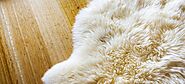 Why You Should Hire a Professional Sheepskin Cleaning Service?