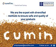 Cumin Testing