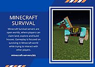 Minecraft Survival
