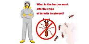 What is the best or most effective type of termite treatment? - Blog | Sivalika Associates