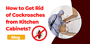 Wondering How to Get Rid of Cockroaches from Kitchen Cabinets?