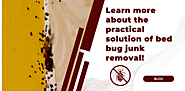 Learn more about the practical solution of bed bug junk removal!