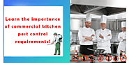 Importance of commercial kitchen pest control requirements!