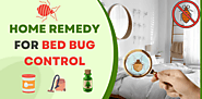 How home remedy for bed bug control works permanently?