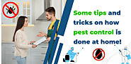 Some tips and tricks on how pest control is done at home!