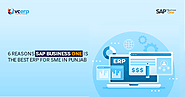 6 Reasons SAP Business One is the best ERP for SME in Punjab