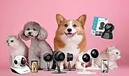 Top 5 Best Pet camera with Apps on Amazon 2021 Review | For Cats & Dogs