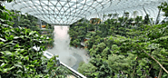 View the Tallest Indoor Waterfall in the World