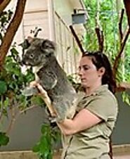 Cuddle a Koala at Lone Pine Koala Sanctuary