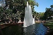 Explore the Botanic Gardens