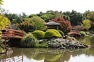 Wander in the Japanese Garden