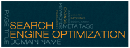 Search Engine Optimization Seattle, Organic Search, SEO