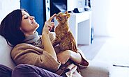Cat Behavior: What Does Your Cat Want - Pets Head To Tail