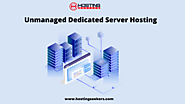 Unmanaged Dedicated Server Hosting
