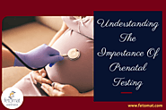 Why Prenatal Testing Is So Important?perinatal testing center