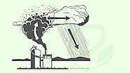 Basics Of Acid Rain That You Must Know - Earth and Human