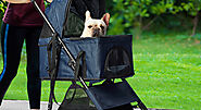 Benefits Of Owning A Dog Stroller Australia