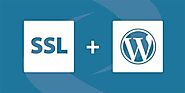 Why You Need Secure SSL WordPress Hosting