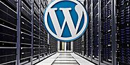 Reliable WordPress Hosting Services, Domain Names Included