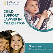 Best Attorney For Child Support in Charleston