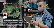 Why can using WordPress help small businesses to grow?