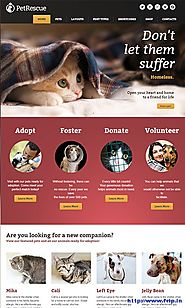 Pet Rescue Theme for website