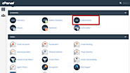 Using the Subdomain Interface in cPanel