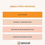 Which is the best regulatory services provider company in India?